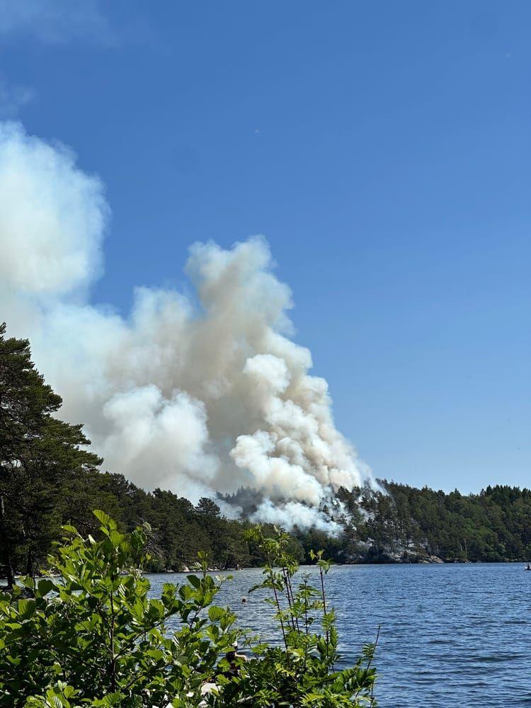 Skogsbrand på ett näs mellan Stora och Lilla Delsjön.