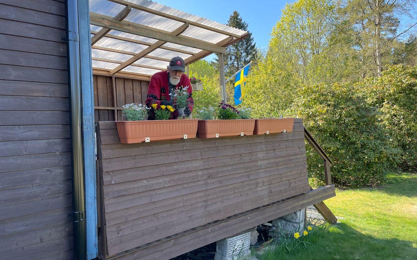 han har fått upp blomlådorna, nu ska han gräva upp mark och sätta bärbuskar i sommar.